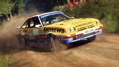 DiRT Rally 2.0 screenshot 8