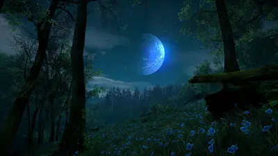 Eastshade screenshot 14