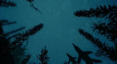 Beasts of Bermuda screenshot 3