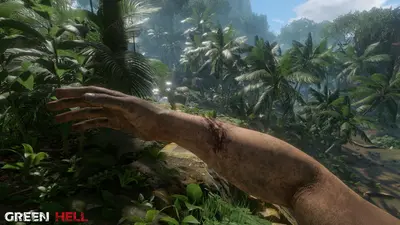 Green Hell screenshot 24