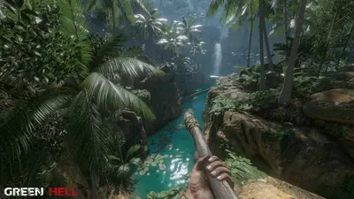 Green Hell screenshot 5