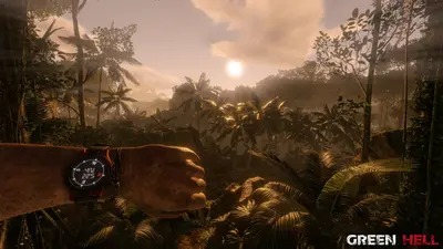 Green Hell screenshot 18