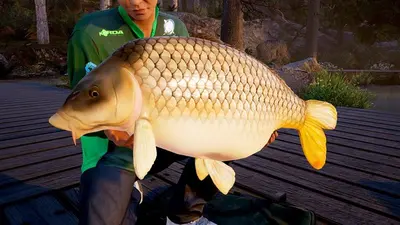 Fishing Sim World®: Pro Tour screenshot 1