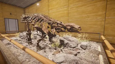 Dinosaur Fossil Hunter - симулятор палеонтологии screenshot 25