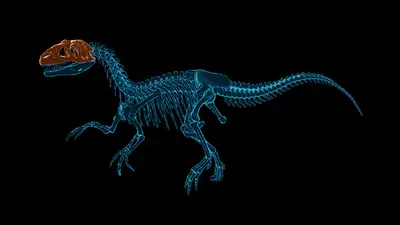 Dinosaur Fossil Hunter - симулятор палеонтологии screenshot 30