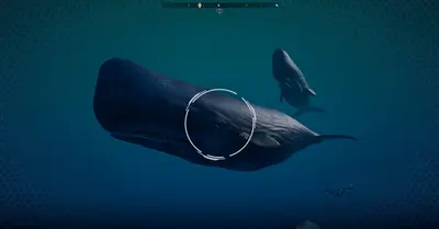 Beyond Blue screenshot 16