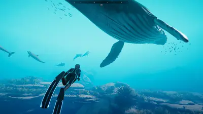 Beyond Blue screenshot 14
