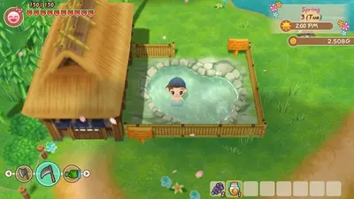 STORY OF SEASONS: Friends of Mineral Town screenshot 9