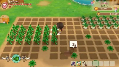 STORY OF SEASONS: Friends of Mineral Town screenshot 2