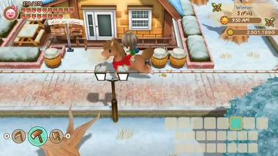 STORY OF SEASONS: Friends of Mineral Town screenshot 8