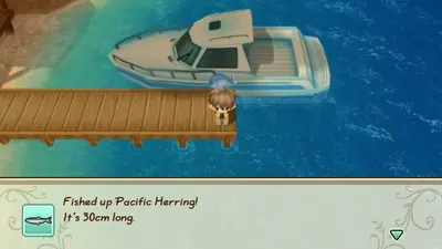 STORY OF SEASONS: Friends of Mineral Town screenshot 4